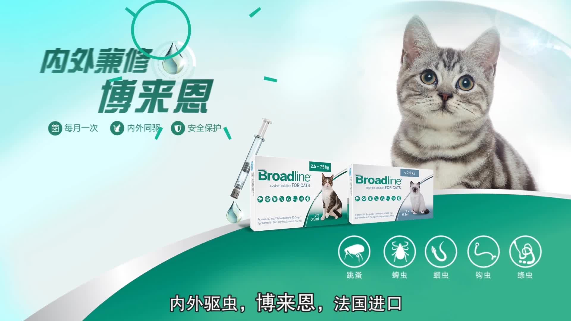 博来恩 猫咪用体内外驱虫滴剂 福莱恩体外驱虫内驱一体/宠物幼猫/成猫