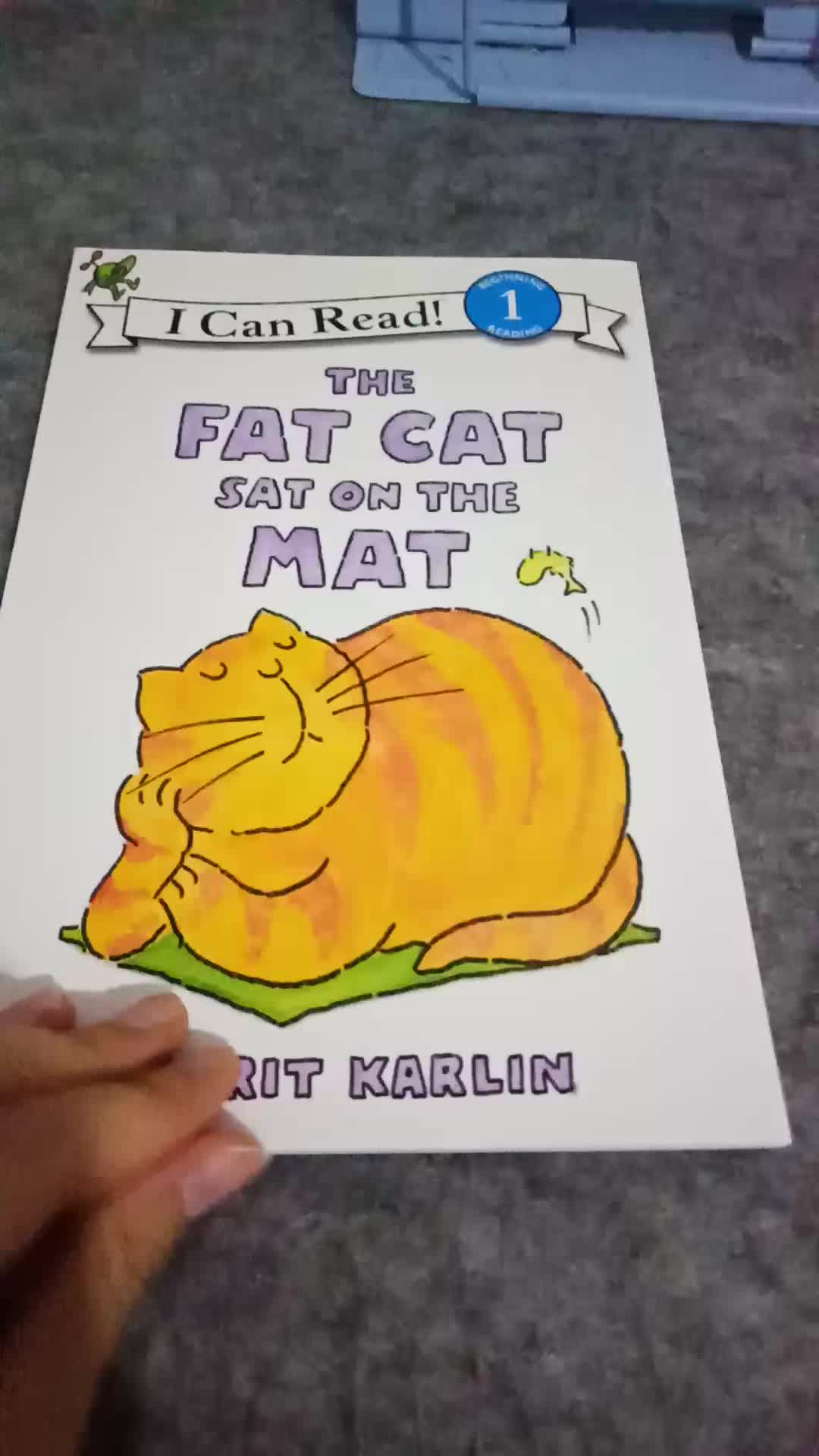 the fat cat sat on the mat (i can read, level 1)胖猫坐在垫子上